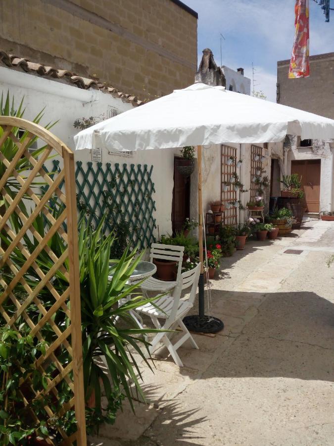 Blue Moon Bed & Breakfast Spinazzola Exterior photo