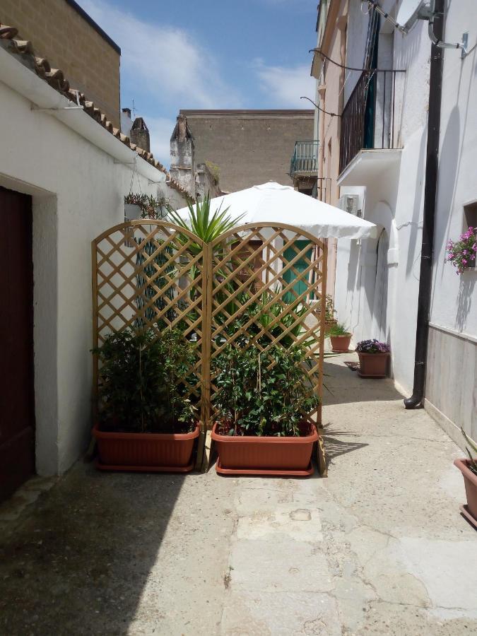 Blue Moon Bed & Breakfast Spinazzola Exterior photo