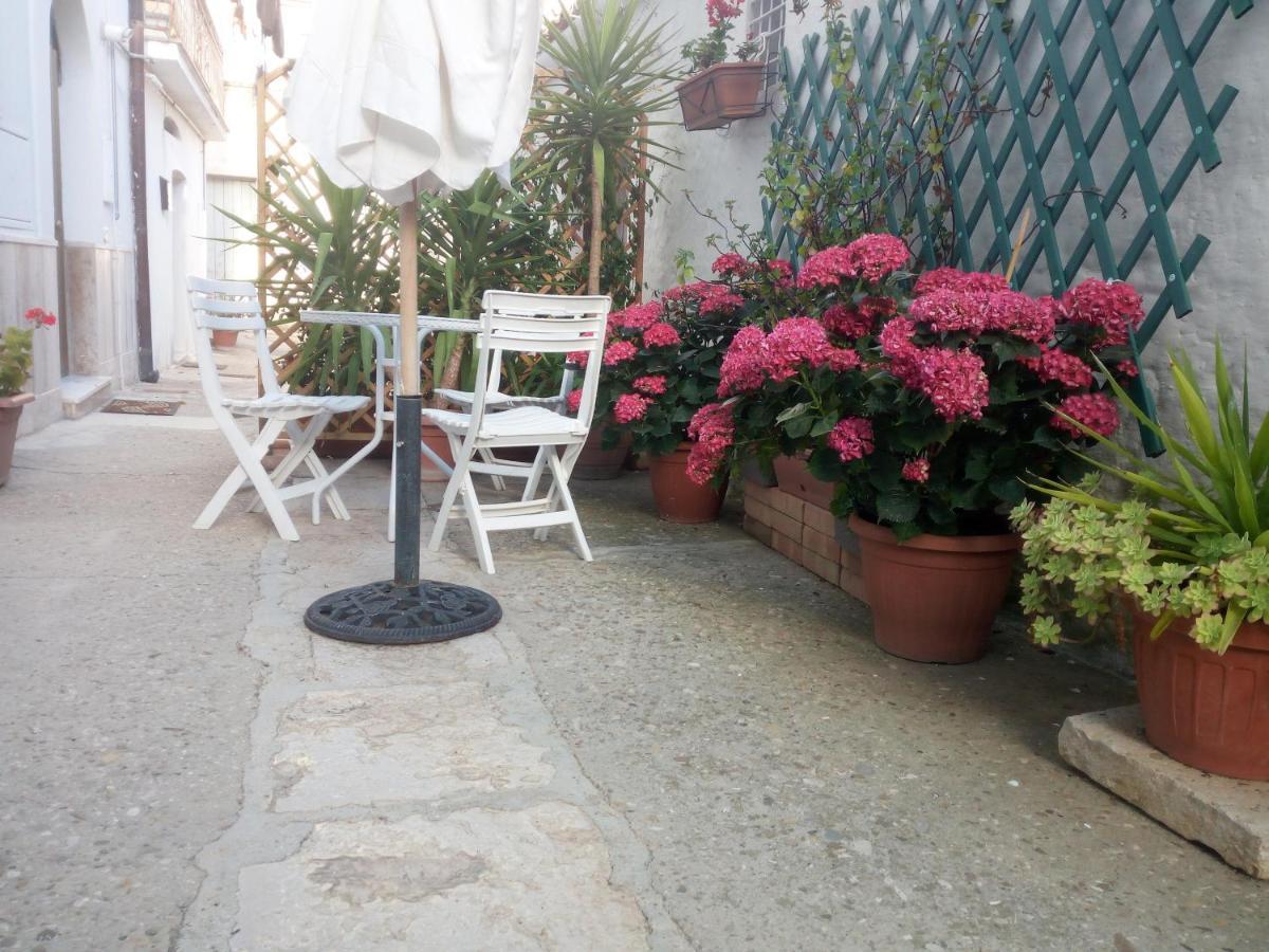 Blue Moon Bed & Breakfast Spinazzola Exterior photo